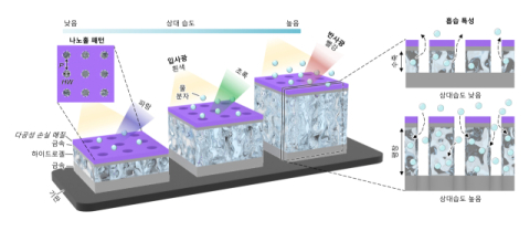 색상으로 습도 변화 실시간 확인한다... 부산대 이길주 교수팀, 나노 구조 습도 센서 개발